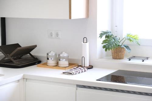 哈恩AOVE Suite的厨房配有白色橱柜和台面上的植物