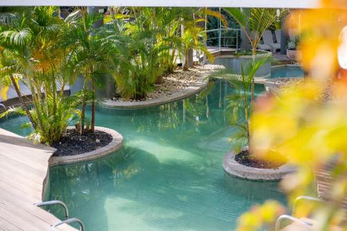 哈马特加德尔Spa Village at Hamat Gader - adults only的度假村内棕榈树游泳池