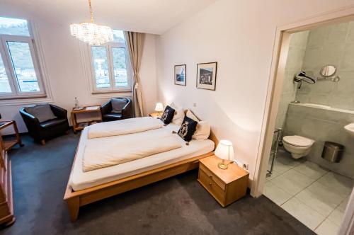圣戈阿尔金狮酒店的一间卧室配有一张床,浴室设有淋浴。