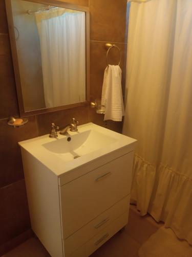 内乌肯Casa de Balsa的浴室配有白色水槽和淋浴。