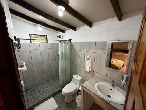 福尔图纳Loma Real Hot Springs Bed & Breakfast的一间带水槽、卫生间和镜子的浴室