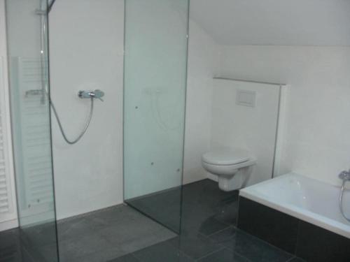 西海姆Apartment im Salzburger Seenland的一间带卫生间和玻璃淋浴间的浴室