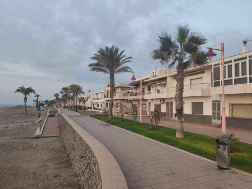 卡沃内拉斯precioso y moderno apartamento frente al mar的一条棕榈树环绕的街道