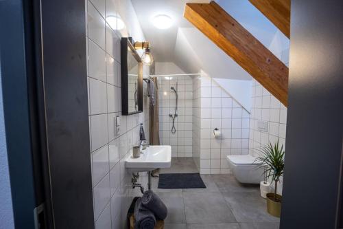 兹诺伊莫Penzion 7 pokojů的一间带水槽和卫生间的浴室