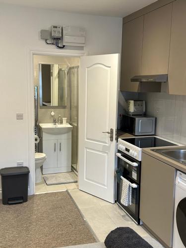 亨顿Bright Modern, 1 Bed Flat, 15 Mins Away From Central London的厨房设有白色门和水槽