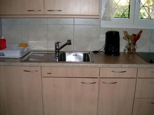 阿斯科纳Casa Franci的厨房配有水槽和台面