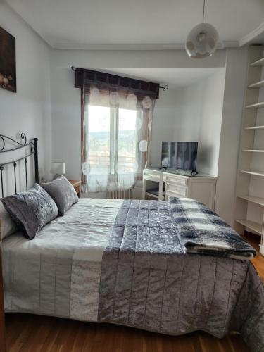 奥伦塞Estudio con vistas a la ciudad的一间卧室配有一张大床和电视