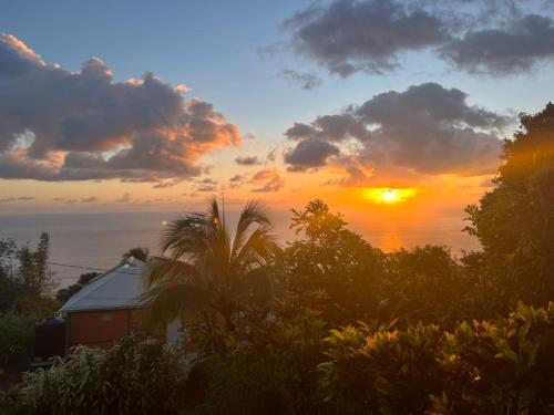 "SunRise Inn" Nature Island Dominica的洋上落日,有房子和树木