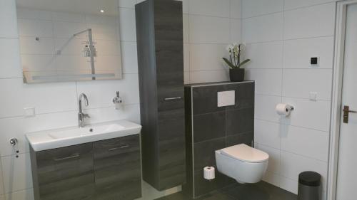 BreezandGroot familiehuis voor 6 personen in landelijke, rustige omgeving的白色的浴室设有水槽和卫生间。
