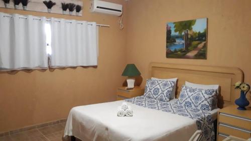 PapucaiaHotel Fazenda Terra Ramos的一间卧室配有两张带蓝白色枕头的床