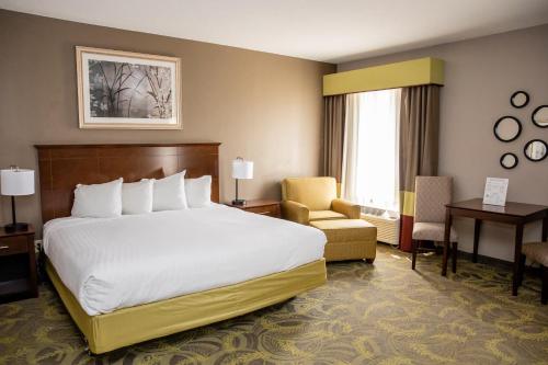 斯普林菲尔德卡彭特大街酒店的配有一张床和一把椅子的酒店客房