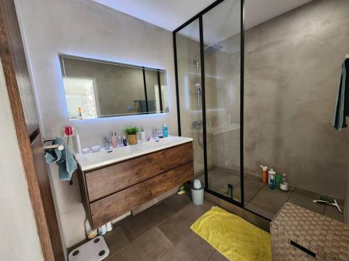 努美阿Magnifique appartement, vue mer的一间带水槽和淋浴的浴室
