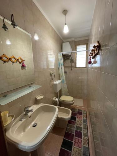 新福卡Appartamenti Le Fontanelle的一间带水槽和卫生间的浴室