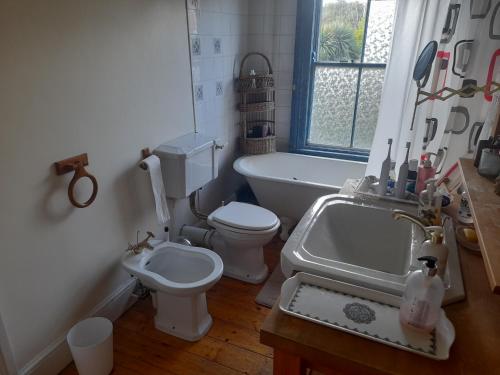 都柏林Annesley Park-Homestay AP的浴室配有盥洗盆、卫生间和浴缸。