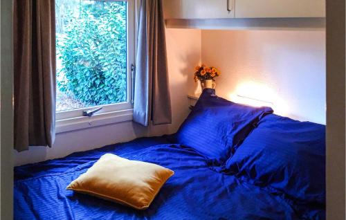 福尔登Stunning Home In Vorden With Wifi的靠窗的床上有枕头