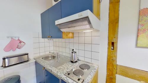 PutgartenRügenhof Kap Arkona的一间带水槽和微波炉的小厨房