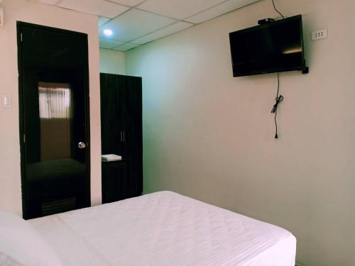 BalangaAnton's Inn的一间卧室配有一张床和一台平面电视