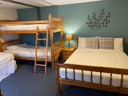 德拉姆纳德罗希特尼斯湖背包客山林小屋旅舍的客房设有两张双层床和一盏灯。
