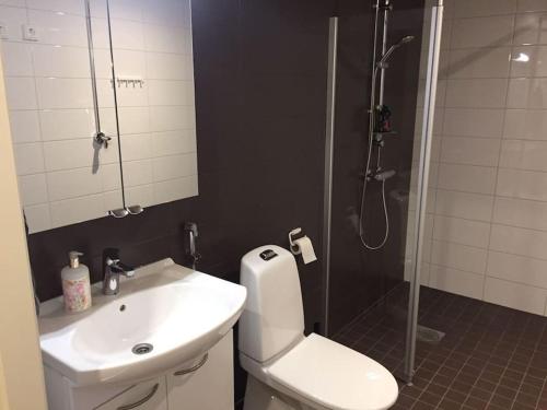 于韦斯屈莱Uusi tilava kaksio Jyväskylän ydinkeskustassa 53 m2的浴室配有卫生间、盥洗盆和淋浴。
