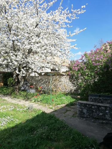Soisy-sur-ÉcoleChez Marylene的院子里白花树