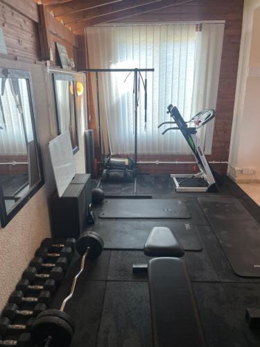 皮斯索里Pissouri Villa Miramar的一间设有跑步机和举重器材的健身房的客房