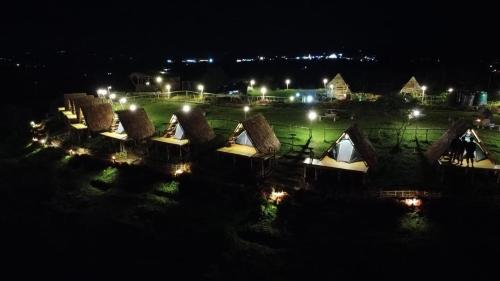 CicadasCloud Hill Camping的一群帐篷在晚上在田野里