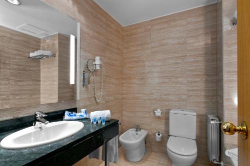 塞丹约拉·德尔·瓦勒欧洲之星瓦莱斯公园酒店的一间带水槽和卫生间的浴室