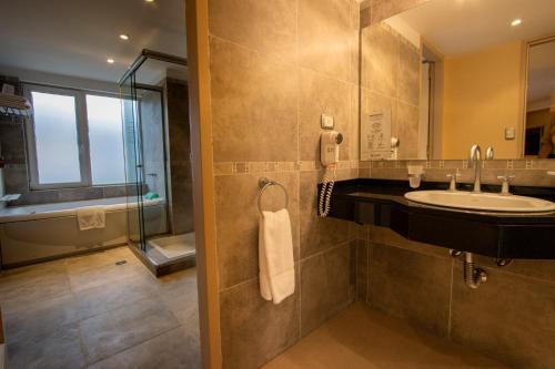 乌斯怀亚福吉诺酒店的一间带水槽和玻璃淋浴的浴室