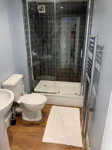 考斯Flat2BeckfordMews的带淋浴、卫生间和盥洗盆的浴室