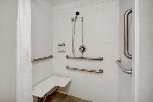罗切斯特罗彻斯特智选假日酒店 - 大学区的白色的浴室设有水槽和淋浴。