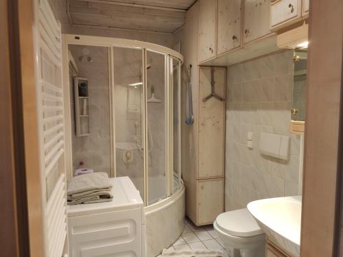 格拉茨Vintage Apartment的带淋浴、卫生间和盥洗盆的浴室