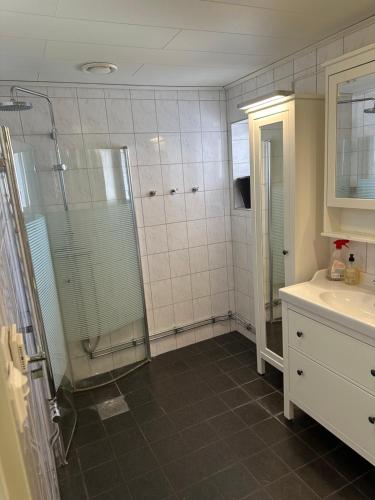 博伦厄Lärkan 21 Tvisegatan 24的带淋浴和盥洗盆的浴室