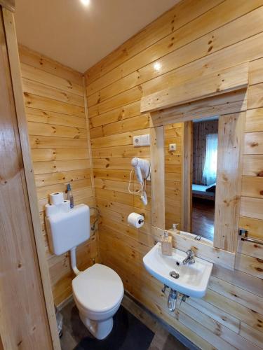锡尔沃斯瓦里德Fenyőfa vendégház的小木屋浴室设有卫生间和水槽