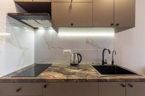 基辅Idea Design Apart-Hotel Maidan的厨房配有水槽和台面