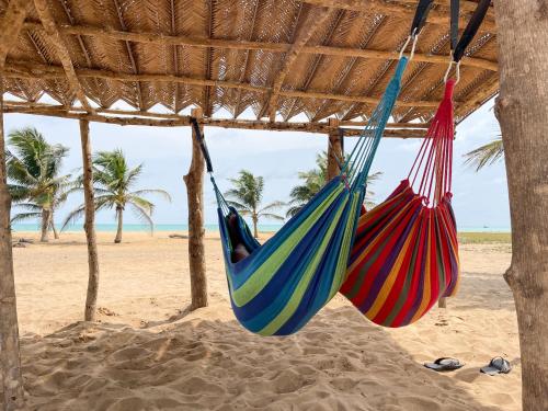 Grand-PopoSpacious and cozy beachfront villa的海滩上小屋的两张吊床