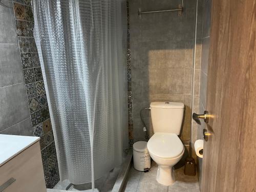 雅典Πάρκο Γουδή的浴室设有卫生间和玻璃浴帘