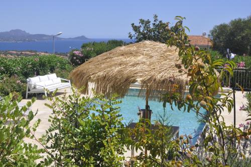 弗雷瑞斯Stunning Cote d'Azur Villa - Rives d'Or的游泳池旁的草屋