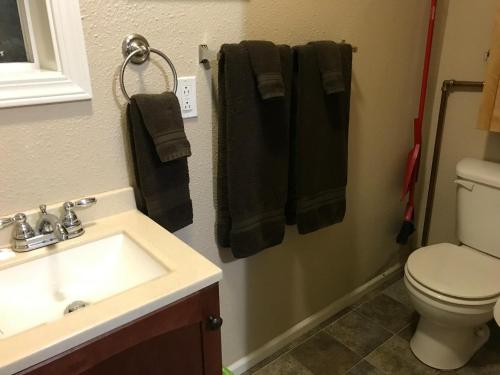 海恩斯Cabin 1 Lynn View Lodge的浴室配有盥洗盆、卫生间和毛巾。
