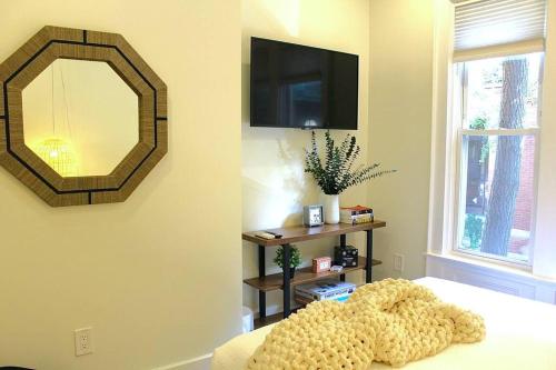 波士顿Luxury - Pet Friendly 3bd, 3ba South End Condo的卧室配有一面镜子和一张床