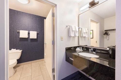 内珀维尔万豪芝加哥内珀维尔费尔菲尔德客栈及套房酒店的一间带水槽、卫生间和镜子的浴室