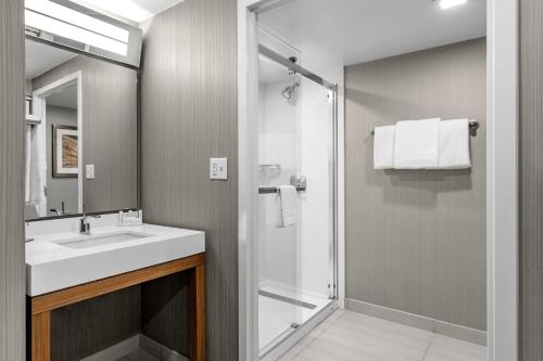 哥伦布哥伦布伊斯顿万怡酒店的一间带水槽和淋浴的浴室