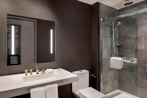 盖恩斯维尔AC Hotel by Marriott Gainesville Downtown的浴室配有卫生间、盥洗盆和淋浴。