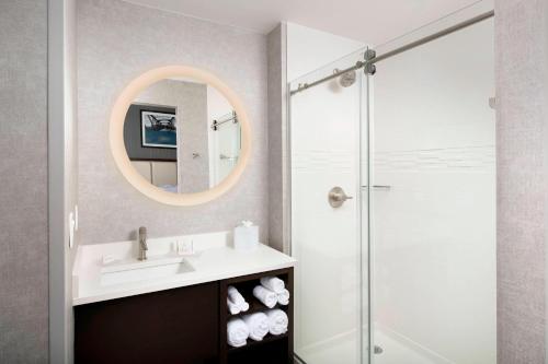 亚特兰大SpringHill Suites by Marriott Atlanta Downtown的一间带水槽和镜子的浴室