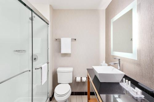 罗阿诺洛诺克万豪春季山丘套房酒店的一间带水槽、卫生间和镜子的浴室