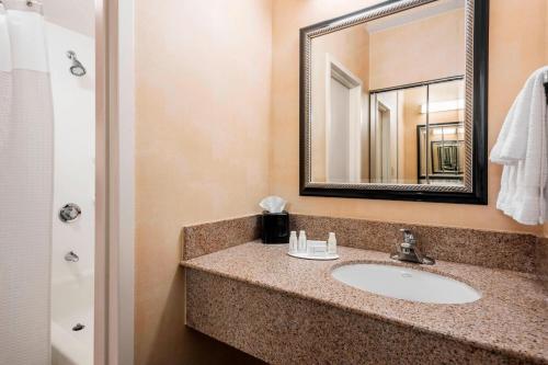 德斯普兰斯芝加哥奥黑尔万怡酒店的一间带水槽和镜子的浴室