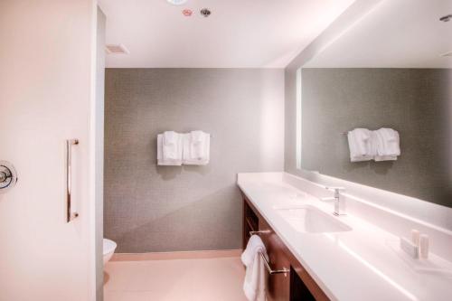 夏洛特Residence Inn by Marriott Charlotte Airport的一间带水槽和镜子的浴室