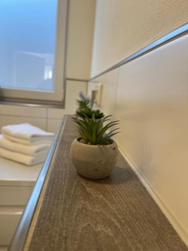 代特莫尔德Schöne Ferienwohnung mit eigenem Stellplatz的盆栽植物坐在浴室的台面上