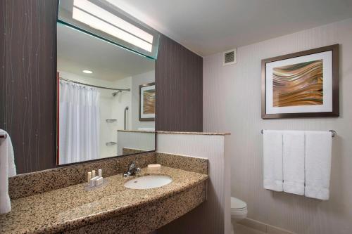 法明代尔长岛/法明代尔共和国机场万怡酒店的一间带水槽和镜子的浴室