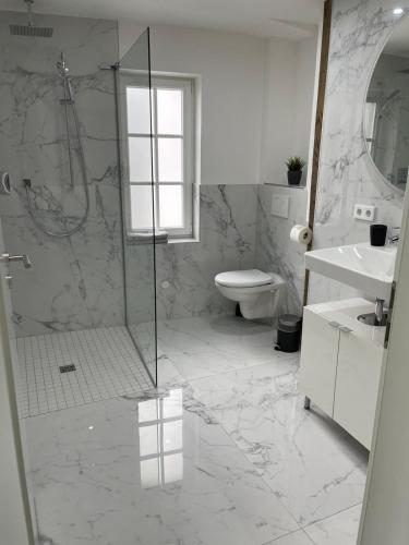 韦茨拉尔PrimeBnb LuxusApartment的带淋浴、卫生间和盥洗盆的浴室