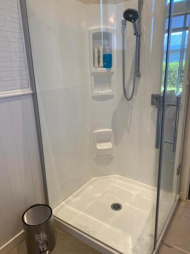 蒂阿瑙Luxury on Howden的带淋浴和水槽的浴室